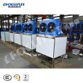 2ton fresh flake ice machine with stainless steel 500kg ice bin